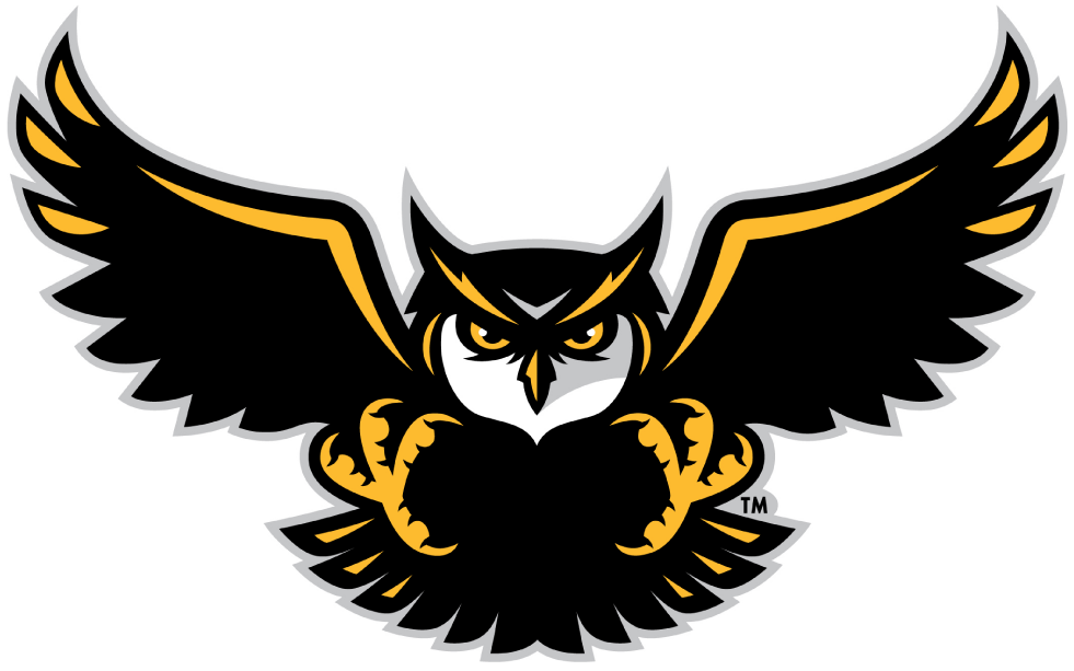 Kennesaw State Owls 2012-Pres Alternate Logo t shirts DIY iron ons v4
